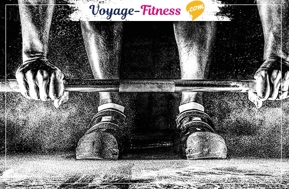 fitcation-definition